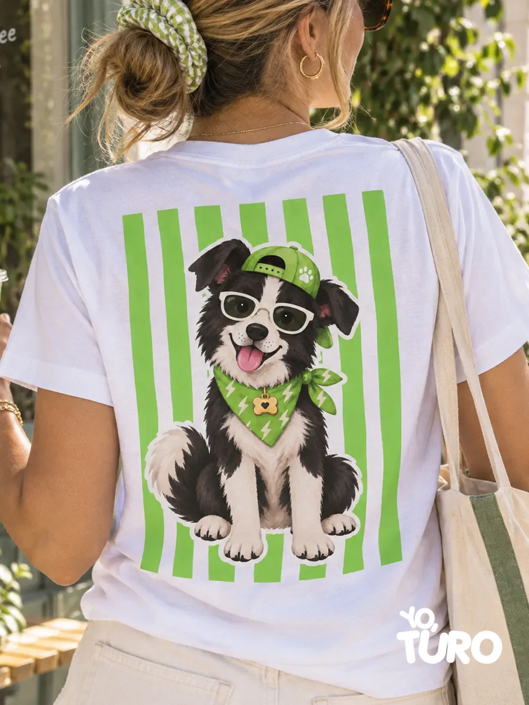 Border Collie Rayo — El Cerebrito