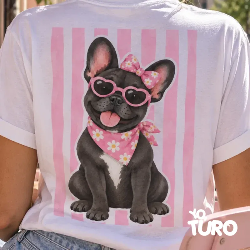 Bulldog Francés Mora — La Diva
