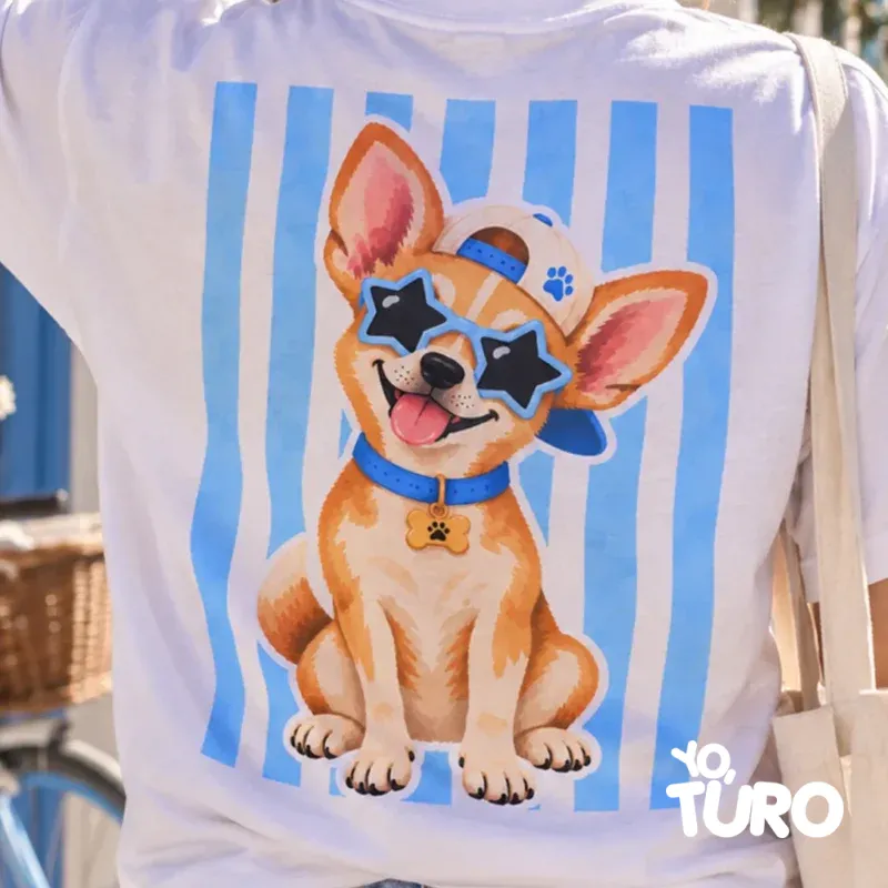 Chihuahua Galo — La Estrella