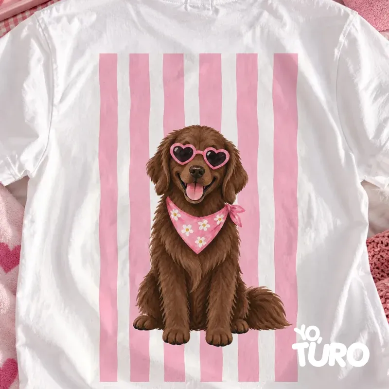 Golden Retriever Trufa — La Dulce