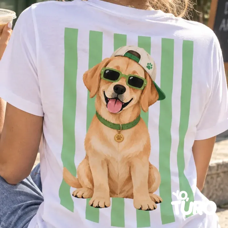 Labrador Bruno — El Aventurero