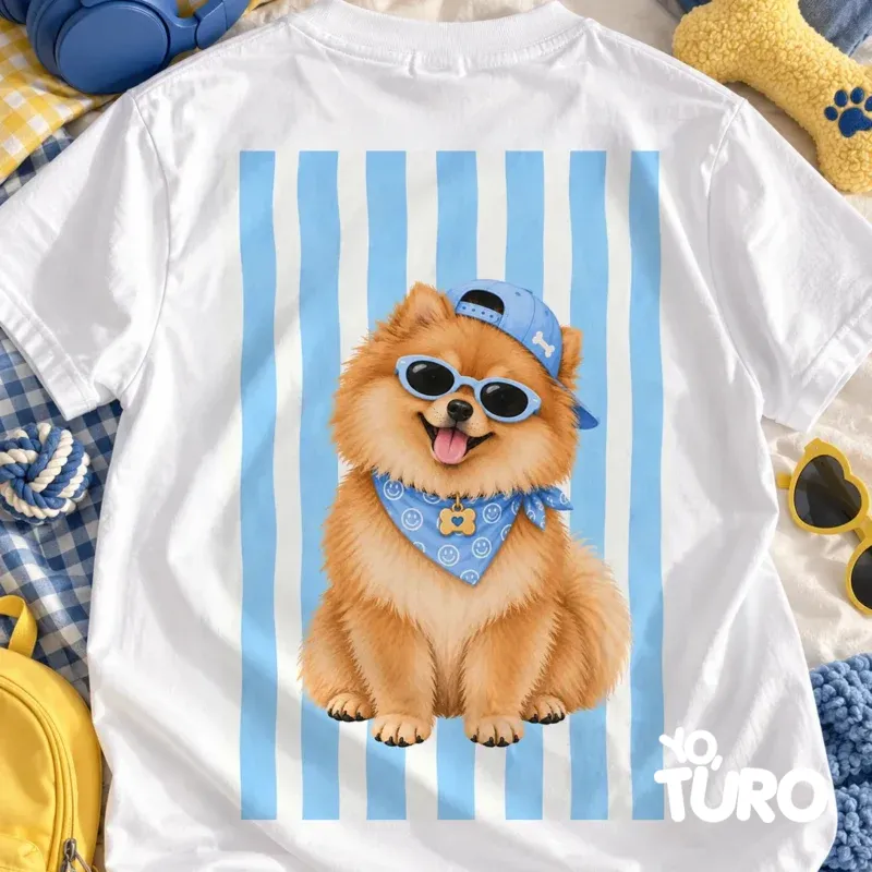 Pomerania Pomelo — El Influencer