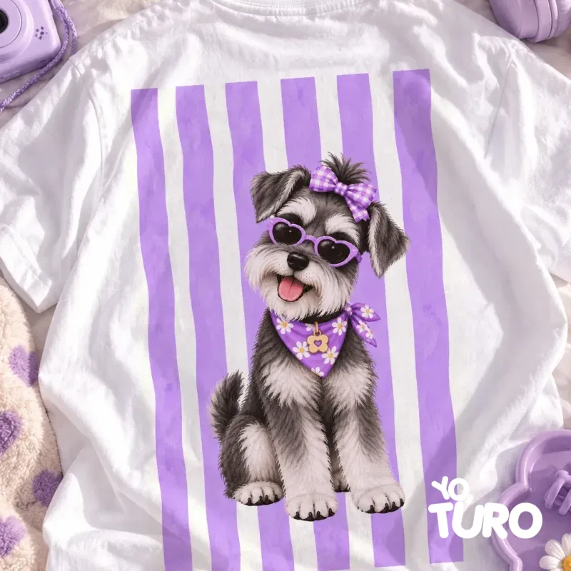 Schnauzer Zoe — La Encantadora