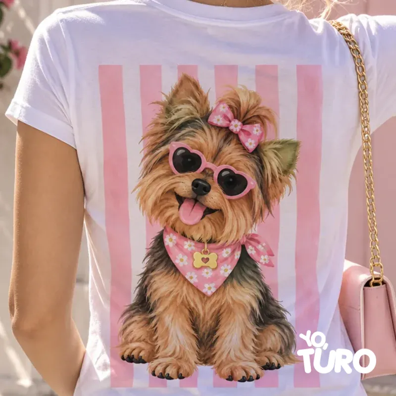 Yorkshire Terrier Pipa — La Princesa
